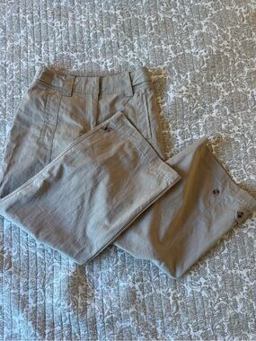 Zara Straight-Leg Pants in Light Khaki